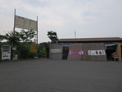 IMG_0087.JPG