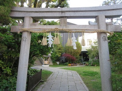 IMG_5045.JPG